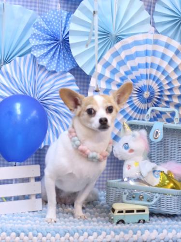 20231125うにちゃん